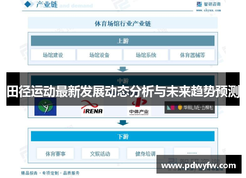 田径运动最新发展动态分析与未来趋势预测